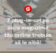 plugin-uri_magazin_online